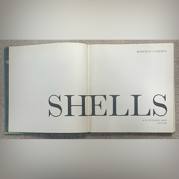 Shells Pleasures & Treasures First Edition Book with Slip Cover - Picture 7 of 13